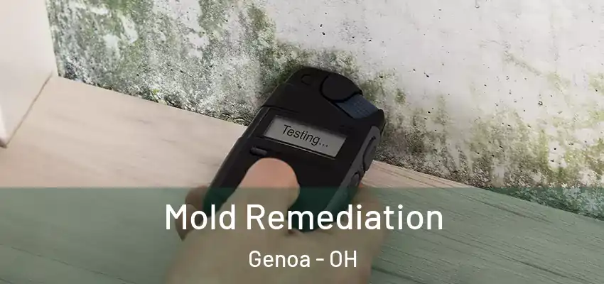  Mold Remediation Genoa - OH