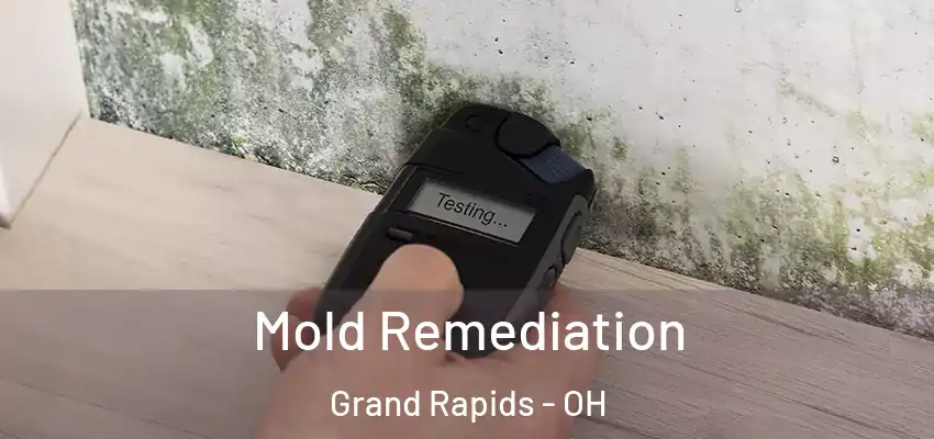  Mold Remediation Grand Rapids - OH