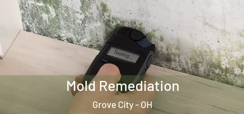  Mold Remediation Grove City - OH