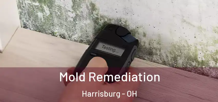  Mold Remediation Harrisburg - OH