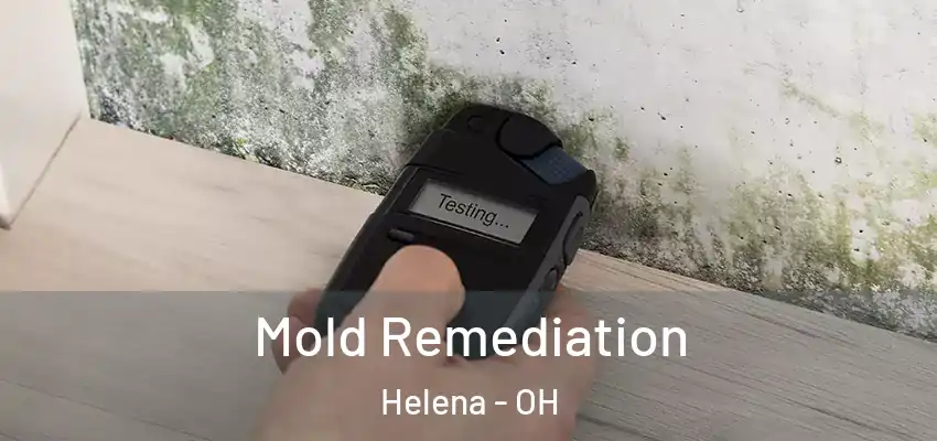  Mold Remediation Helena - OH