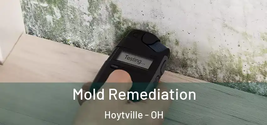  Mold Remediation Hoytville - OH