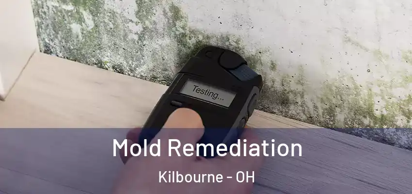  Mold Remediation Kilbourne - OH
