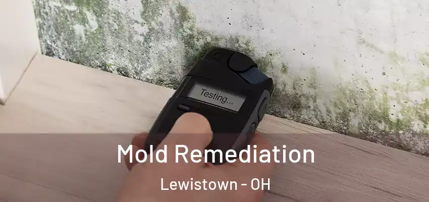 Mold Remediation Lewistown - OH
