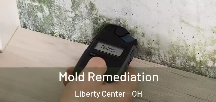  Mold Remediation Liberty Center - OH