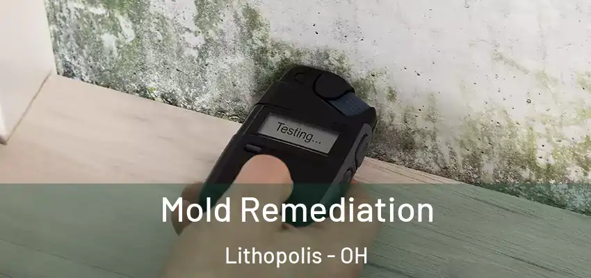  Mold Remediation Lithopolis - OH