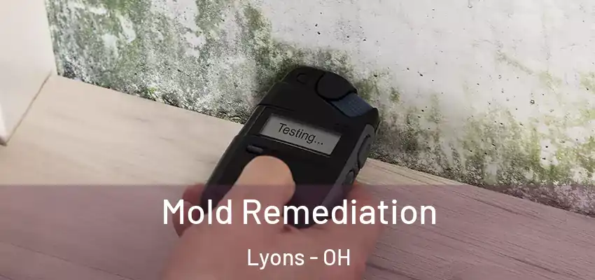  Mold Remediation Lyons - OH