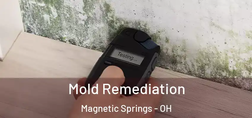  Mold Remediation Magnetic Springs - OH