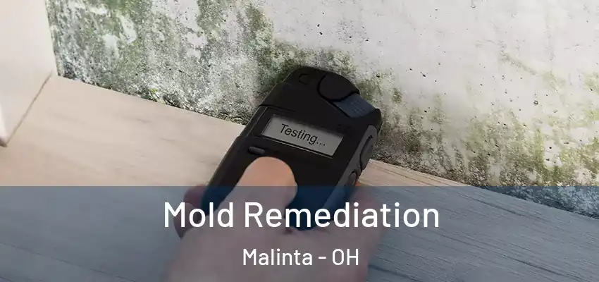  Mold Remediation Malinta - OH