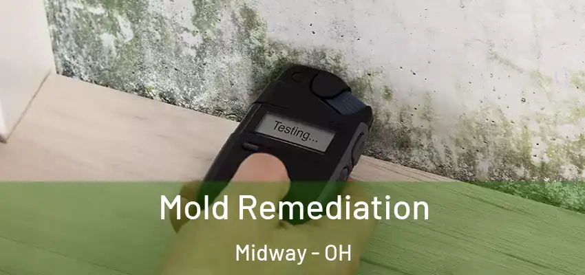  Mold Remediation Midway - OH