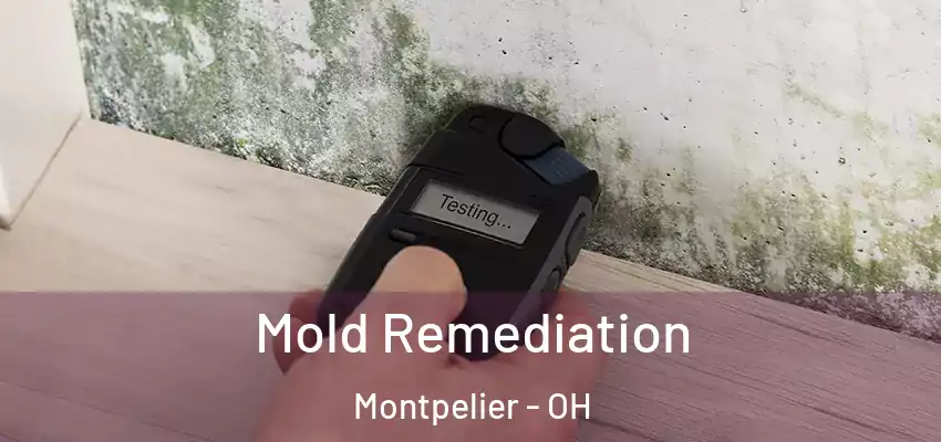 Mold Remediation Montpelier - OH
