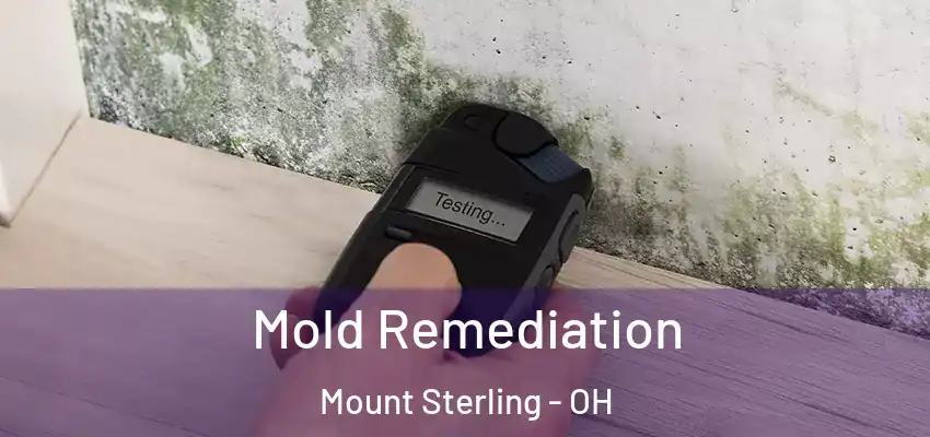  Mold Remediation Mount Sterling - OH