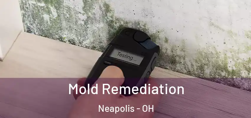  Mold Remediation Neapolis - OH