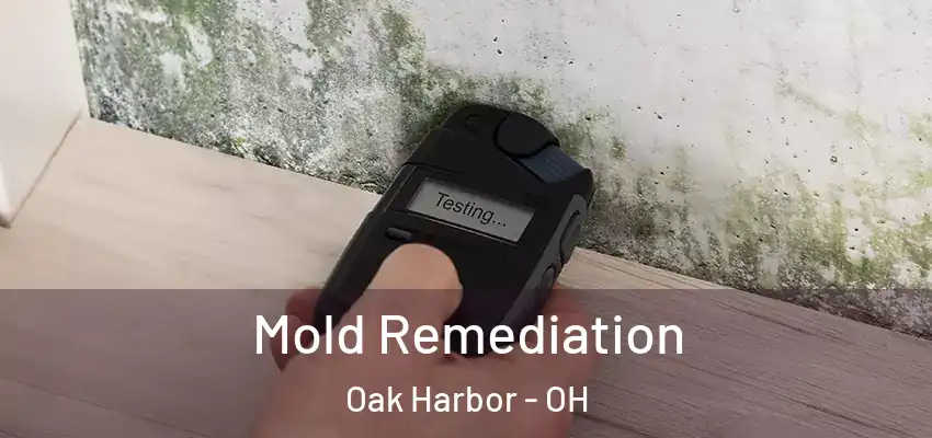  Mold Remediation Oak Harbor - OH
