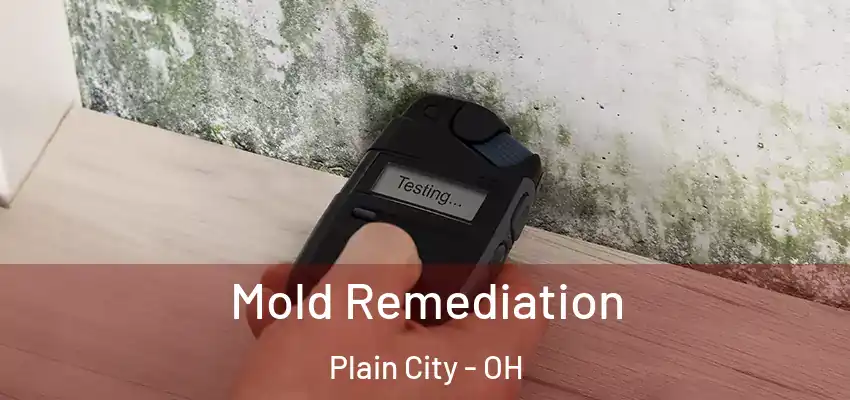  Mold Remediation Plain City - OH
