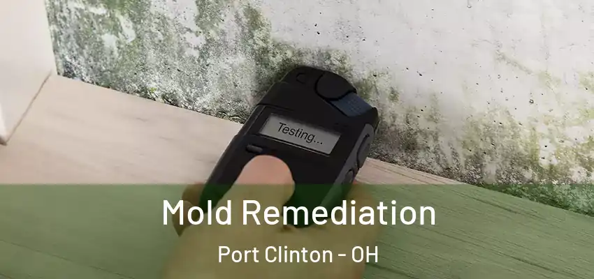  Mold Remediation Port Clinton - OH