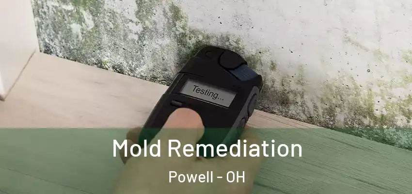  Mold Remediation Powell - OH