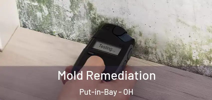  Mold Remediation Put-in-Bay - OH