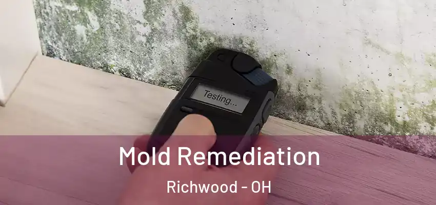  Mold Remediation Richwood - OH