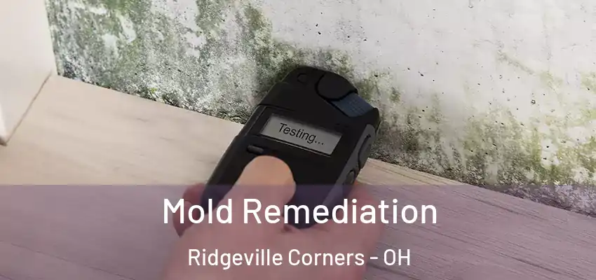  Mold Remediation Ridgeville Corners - OH