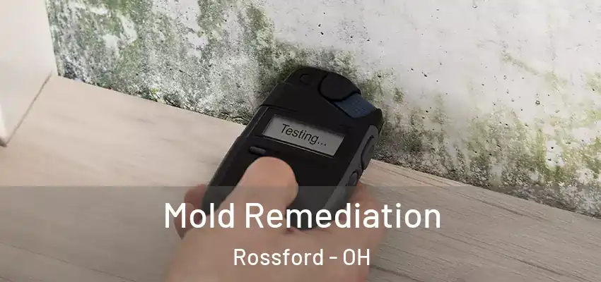  Mold Remediation Rossford - OH