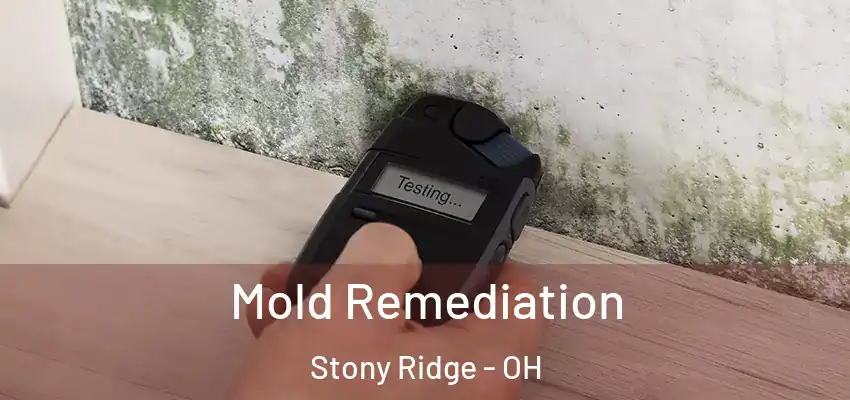  Mold Remediation Stony Ridge - OH