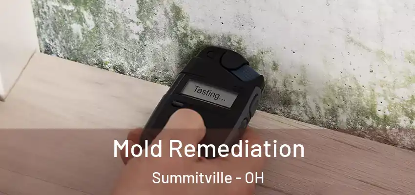  Mold Remediation Summitville - OH