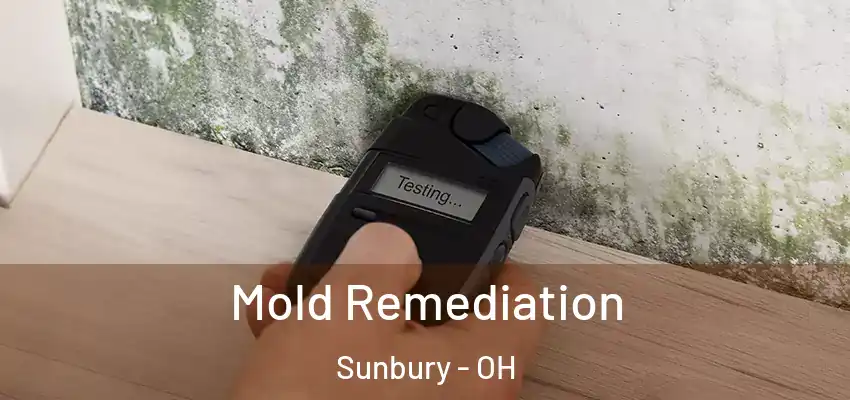 Mold Remediation Sunbury - OH