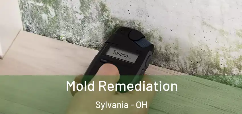  Mold Remediation Sylvania - OH