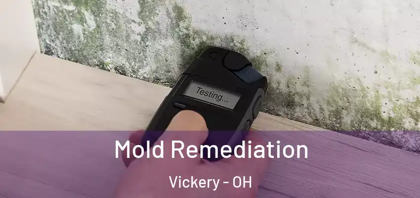  Mold Remediation Vickery - OH