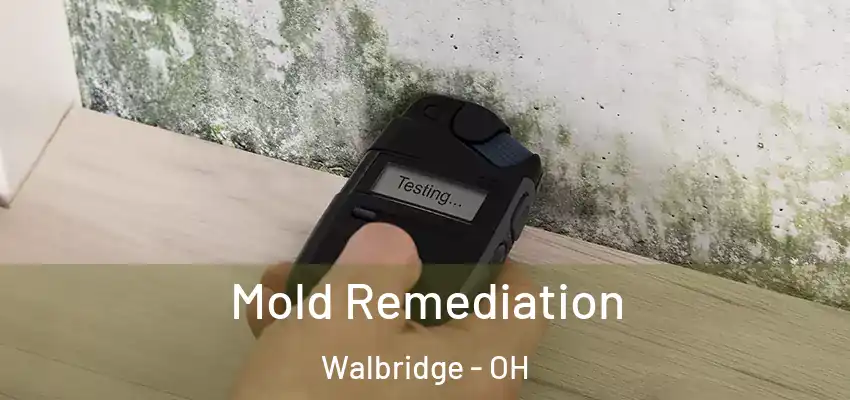  Mold Remediation Walbridge - OH