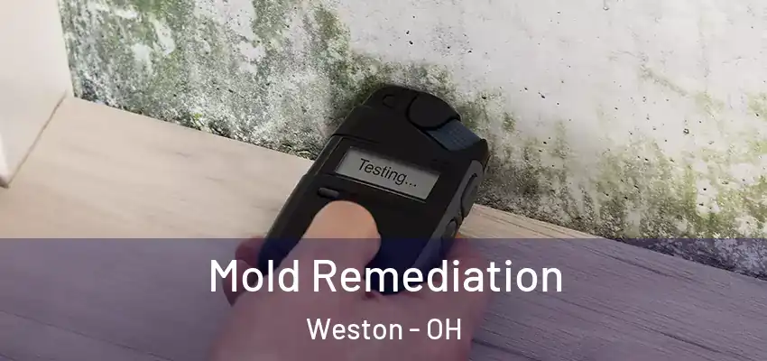  Mold Remediation Weston - OH