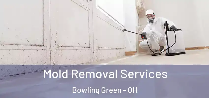  Mold Removal Services Bowling Green - OH