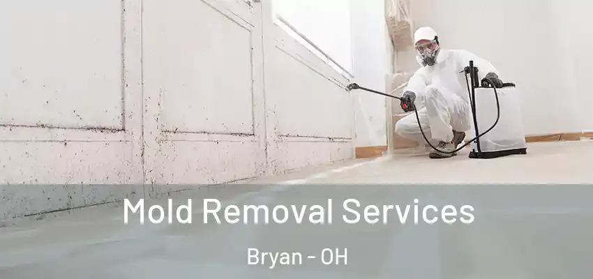  Mold Removal Services Bryan - OH