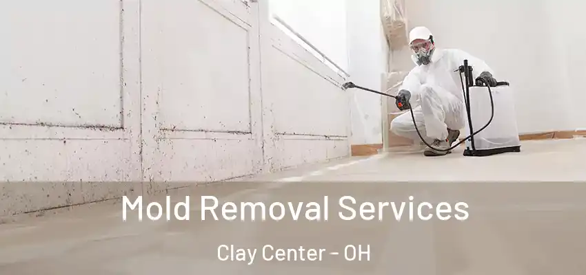  Mold Removal Services Clay Center - OH