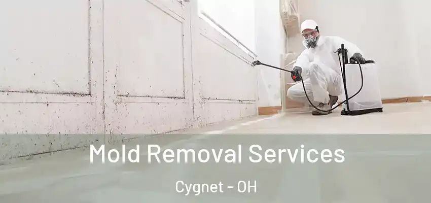  Mold Removal Services Cygnet - OH