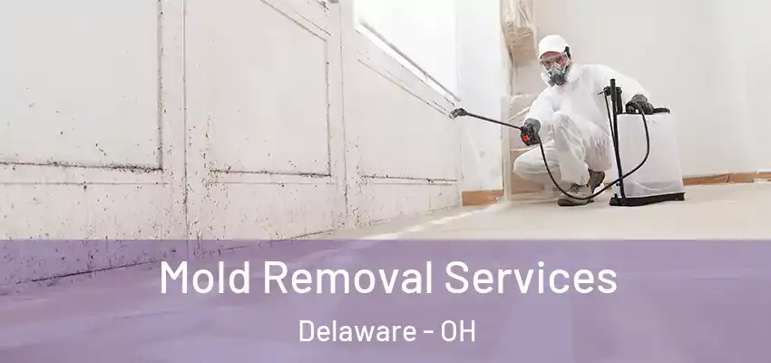  Mold Removal Services Delaware - OH