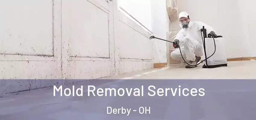  Mold Removal Services Derby - OH