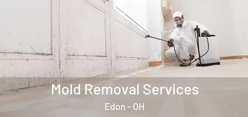  Mold Removal Services Edon - OH