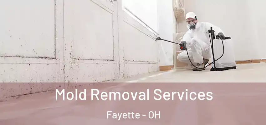  Mold Removal Services Fayette - OH