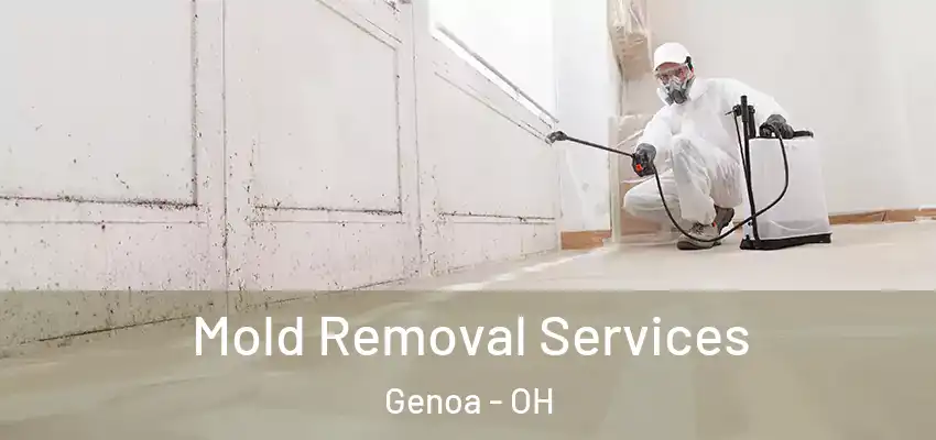  Mold Removal Services Genoa - OH