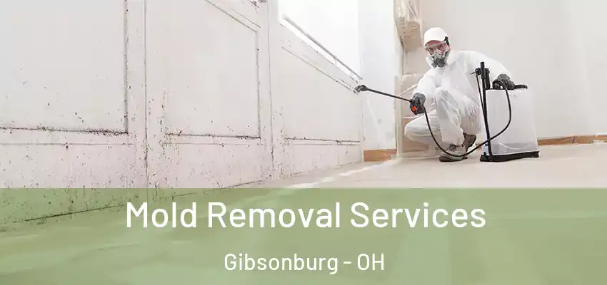  Mold Removal Services Gibsonburg - OH