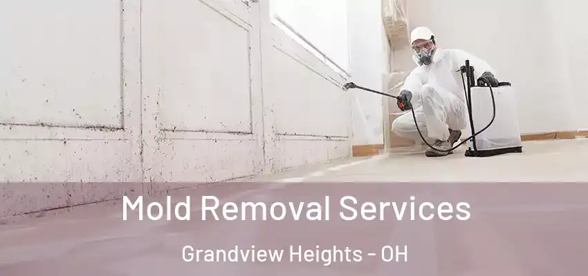 Mold Removal Services Grandview Heights - OH
