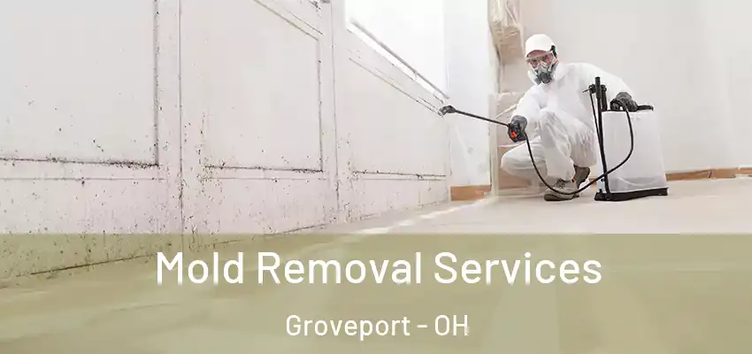  Mold Removal Services Groveport - OH