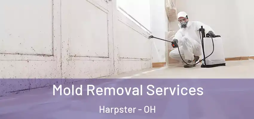  Mold Removal Services Harpster - OH