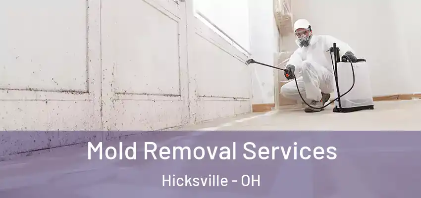  Mold Removal Services Hicksville - OH