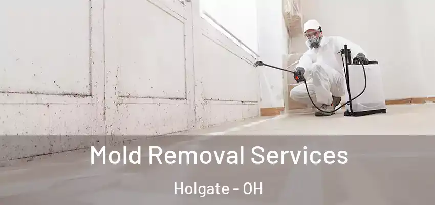  Mold Removal Services Holgate - OH