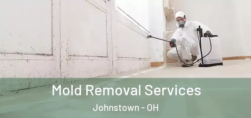  Mold Removal Services Johnstown - OH