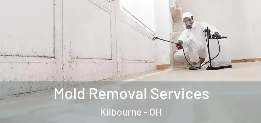  Mold Removal Services Kilbourne - OH