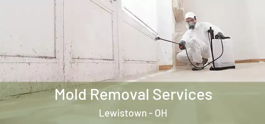  Mold Removal Services Lewistown - OH